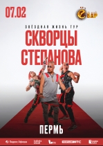 Скворцы Степанова